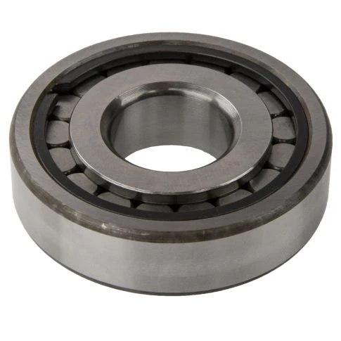 Input Bearing Retainer / age - Drive Pinion Shaft Bearing